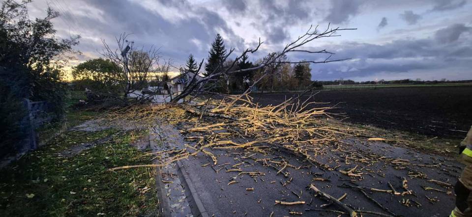 PHOTO-2025-10-30-20-27-1_20251030-200946_1