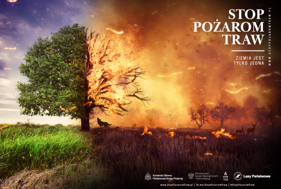 Strażacy apelują: Nie wypalajmy traw, to prowadzi do pożarów. Każdego roku giną w nich ludzie