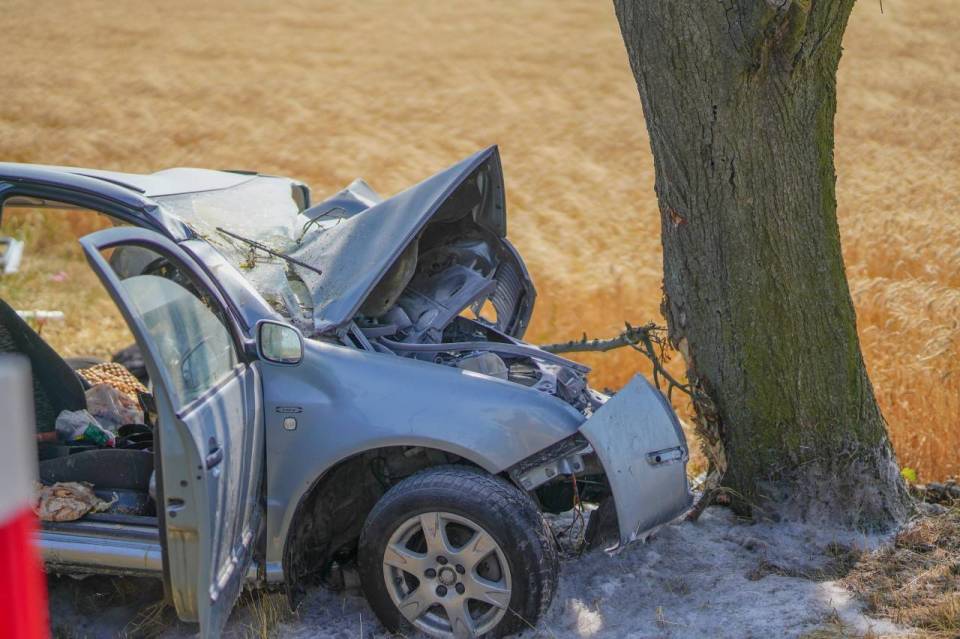 wypadek-auto-drzewo