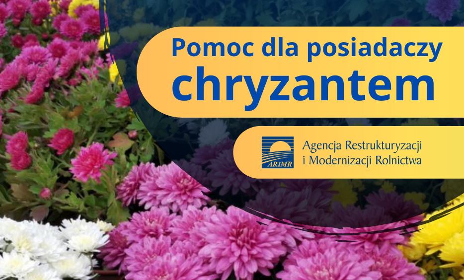 Zrzut-ekranu-2020-11-04-o-09.29.25