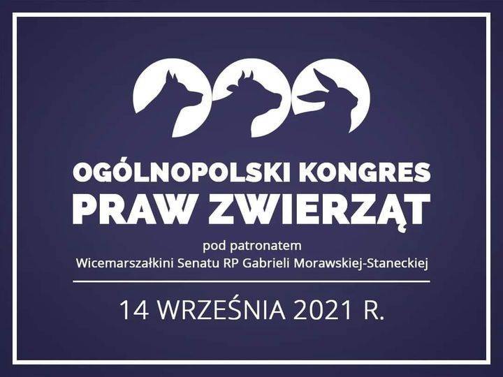 Członkowie grupy "Zwierzoluby Łęczyca" wezmą udział w Ogólnopolskim Kongresie Praw Zwierząt