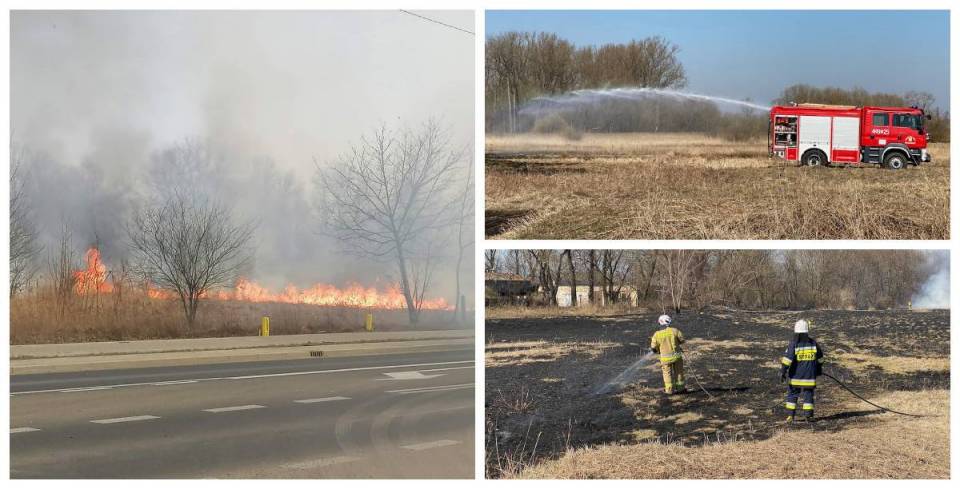 Strażacy z powiatu łęczyckiego walczą z pożarami suchej trawy. "Nie wypalajmy traw. Dbajmy wspólnie o nasze zdrowie, życie i bezpieczeństwo"