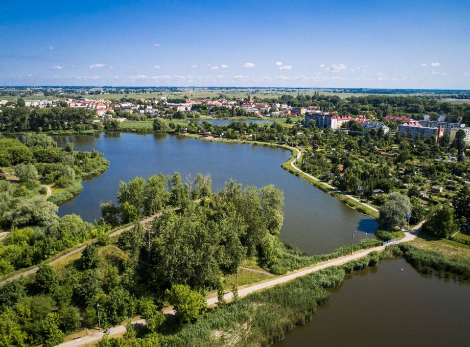 Łęczyca: Będą nowe nasadzenia z okazji Międzynarodowego Dnia Zdrowia Roślin